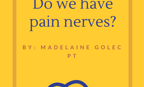 Do we have pain nerves?