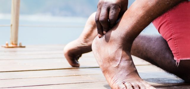 Why tendon injuries take longer than muscle injuries to heal.